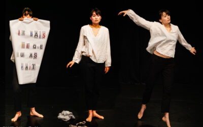 Newsletters archives Triptyqur mai 24 0406 Avec accentuation Bruit 77462 400x250 - Newsletters archives